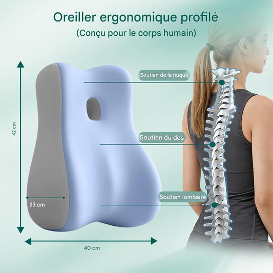 Oreiller ergonomique : le soutien parfait pour dormir, lire et se détendre