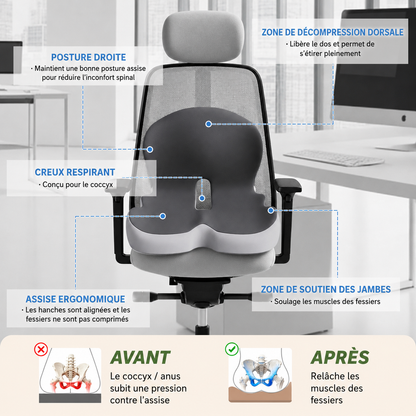 Coussin Ergonomique 2-en-1 Mémoire de Forme – Soutien Dos & Coccyx